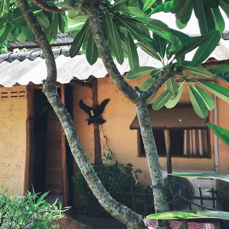 Tiddin Resort Chiang Mai Bagian luar foto